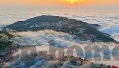 比分足球新浪-新浪足球比分，球迷的数字战场与情感共鸣场